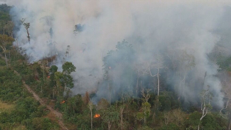 Пожарите в Амазонската джунгла са се увеличили с 20% през юни