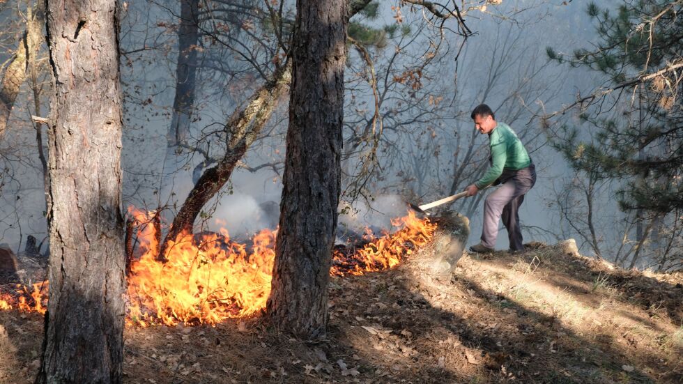 Над 80 горски пожара е имало през август