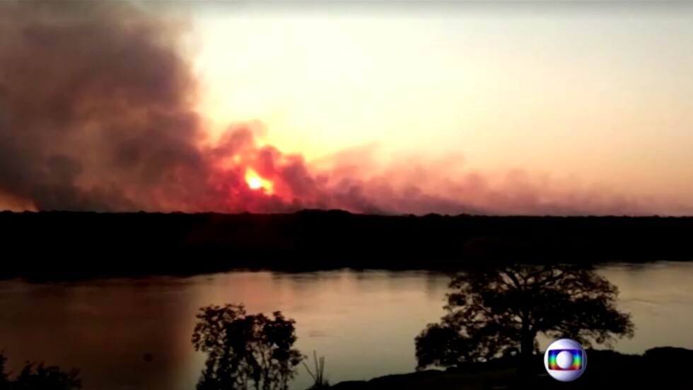 Хиляди пожари унищожават горите в Амазония