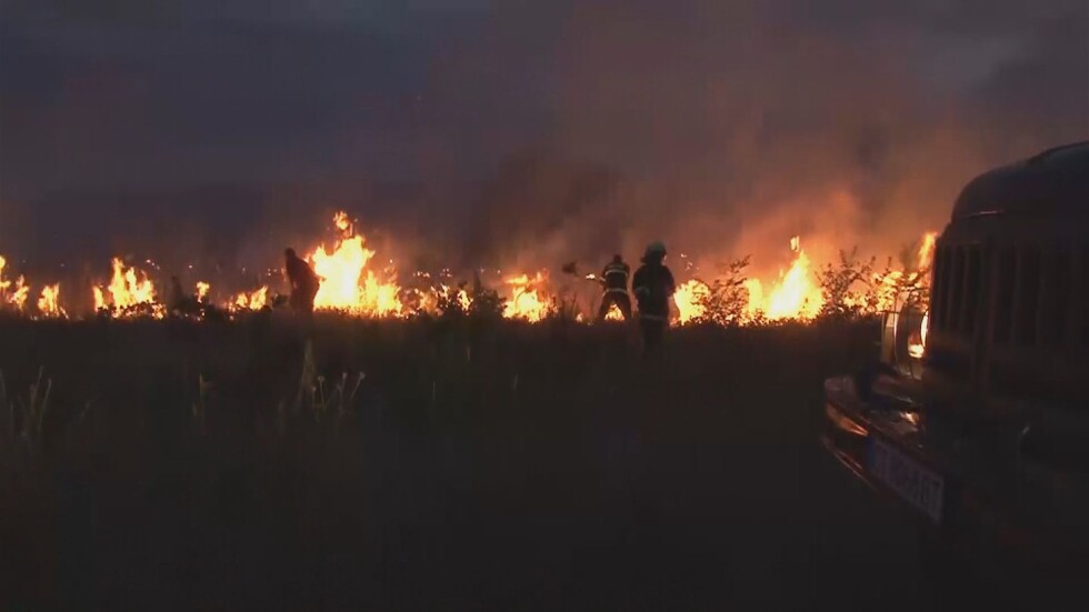Около 30 дка розови масиви изгоряха в Казанлъшко