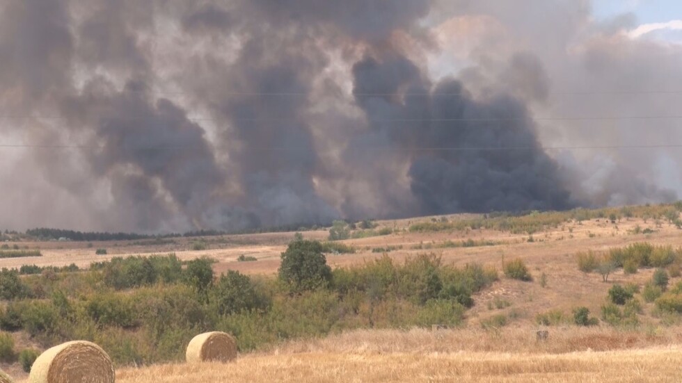 Голям горски пожар затвори магистрала "Марица" 