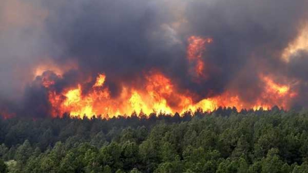 Обявиха частично бедствено положение в 4 общини заради пожарите