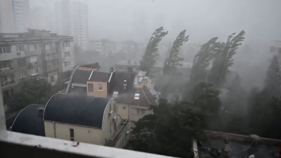 Бурята в София събори дървета и преобърна покриви на сгради
