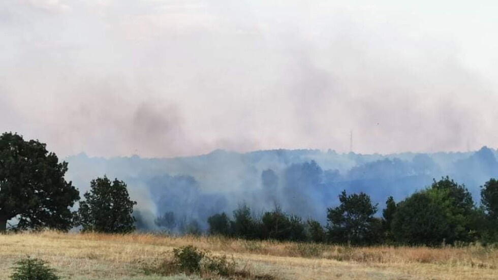 Широколистна гора пламна в Хасковско