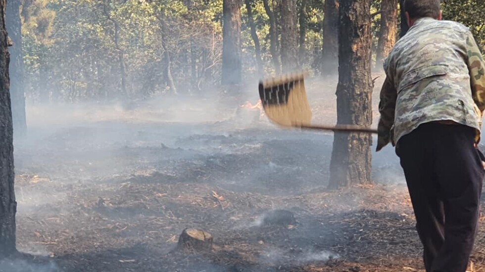 Голям горски пожар в района на Свиленград