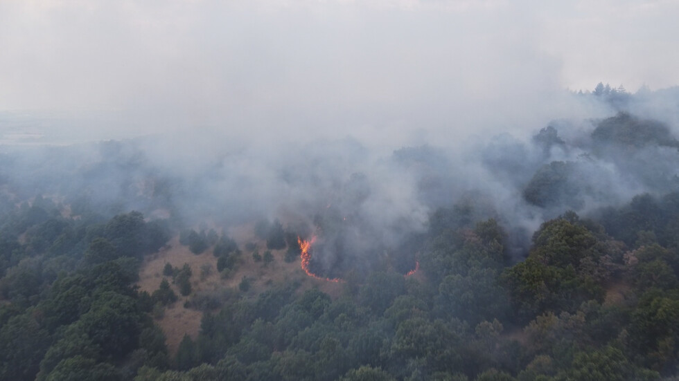 Пожарът в Сакар планина е локализиран