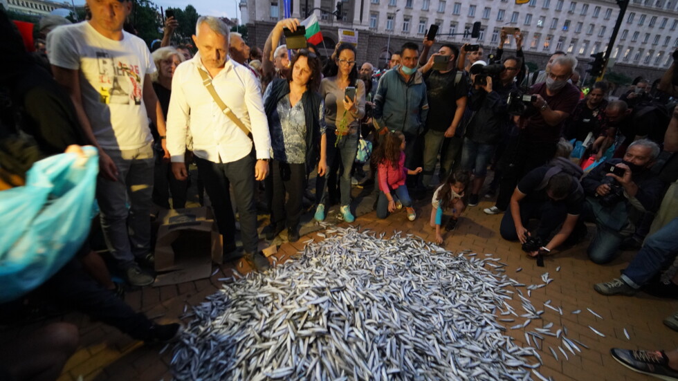 Протестиращи изсипаха риба пред Министерския съвет (ВИДЕО)