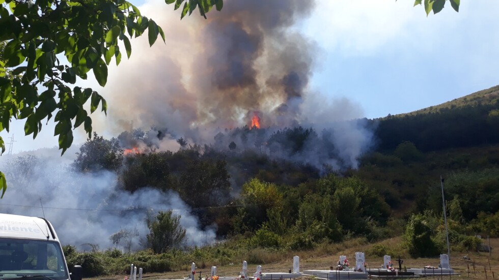 Подпали се ловно стопанство „Тракия“: Над 50 дка гора изгоряха