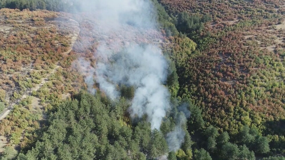 Локализиран е горският пожар в Сливенско