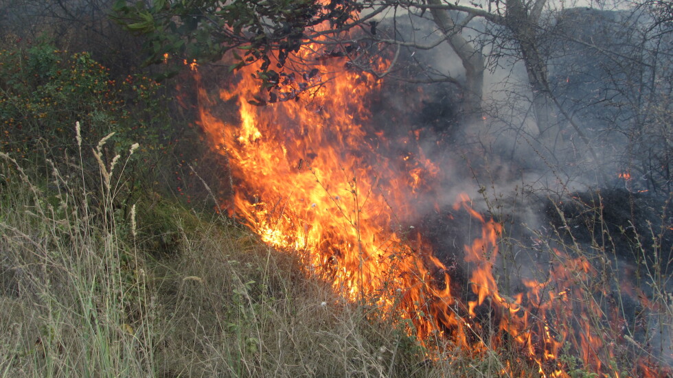 Два пожара горят в област Стара Загора