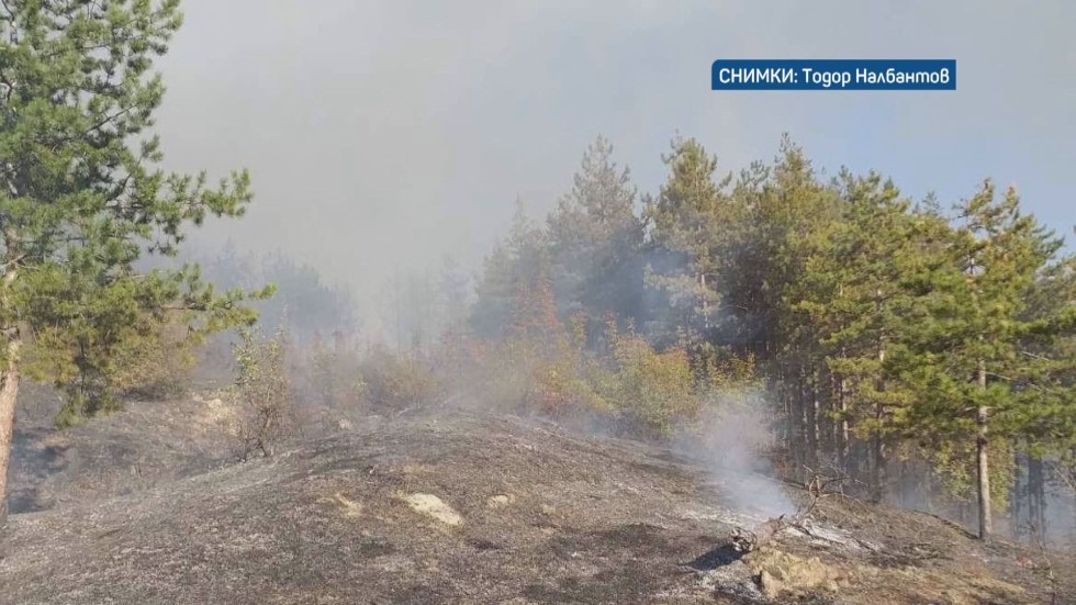 Два нови горски пожара в Пловдивска област