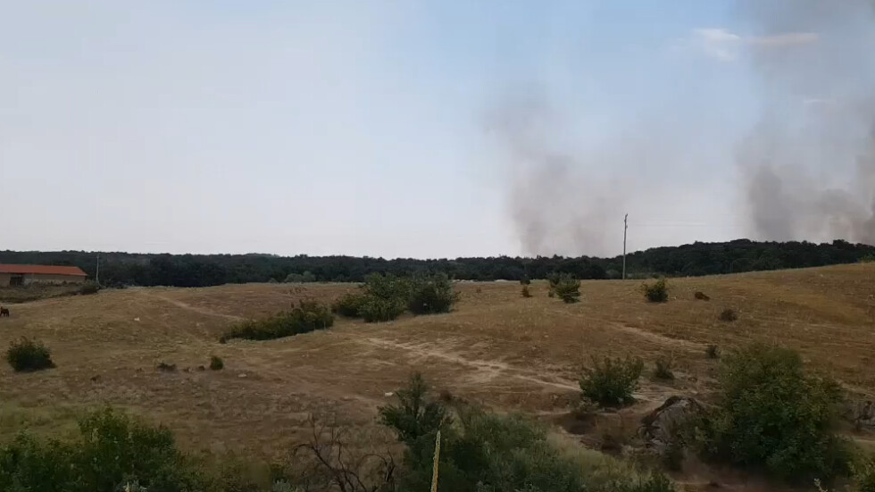 Пожар край хасковското село Брягово