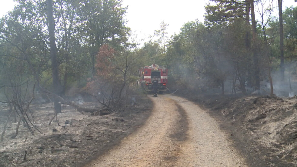 Пожарът край хасковското село Брягово е овладян