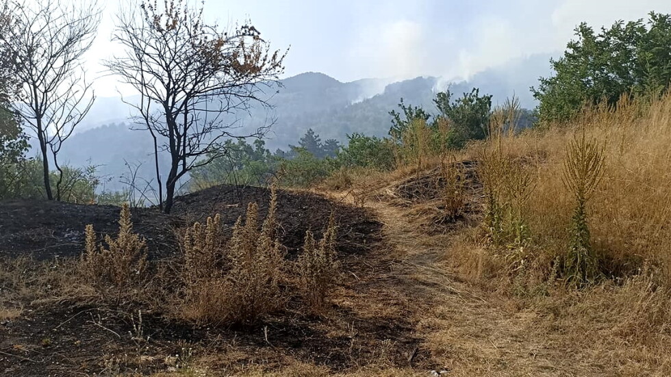 Локализиран е пожарът в Стара планина