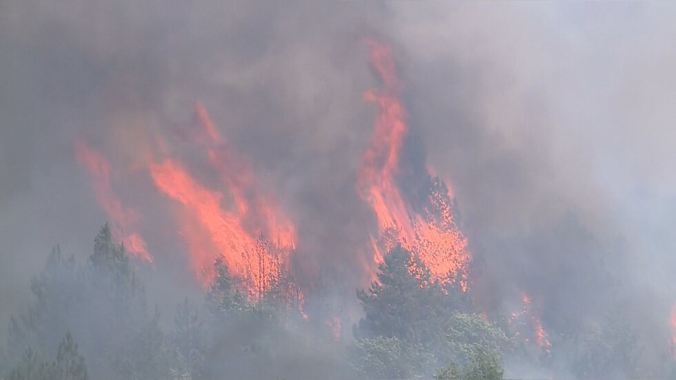 Пожарът в С. Македония е все по близо до България