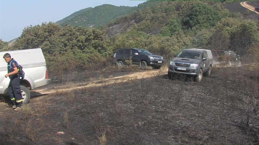 След смъртта на двама души в пожарите: Бивш горски се оплака, че влизат в огъня неподготвени