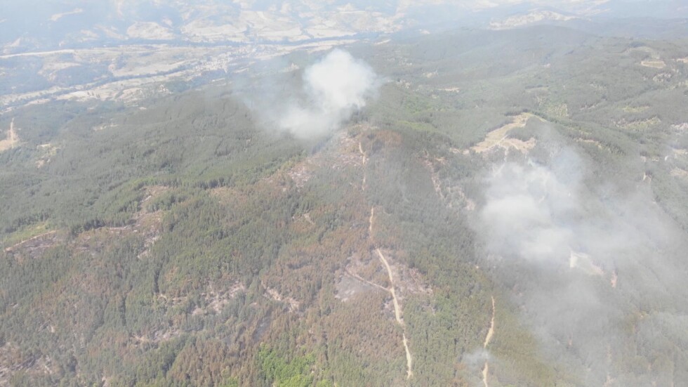 Над 600 декара смесена гора са обхванати от пожар в Кюстендилско   