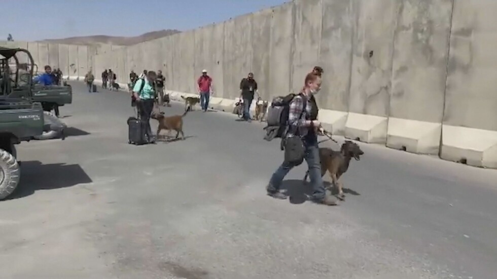 Евакуация на четири лапи: US военни извеждат от Кабул и кучета