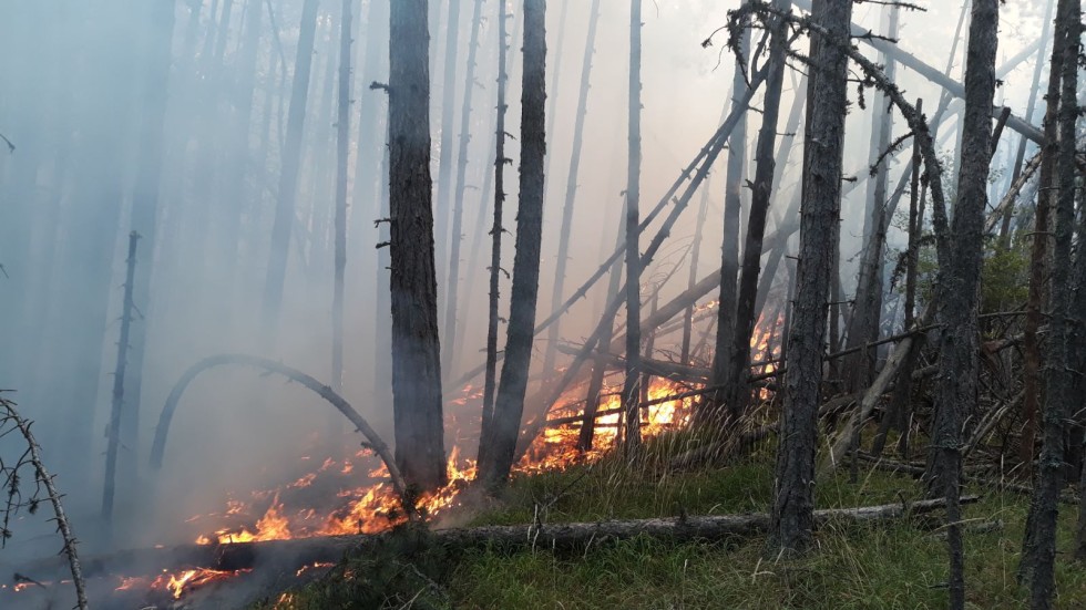 Обявиха частично бедствено положение заради пожара в село Югово