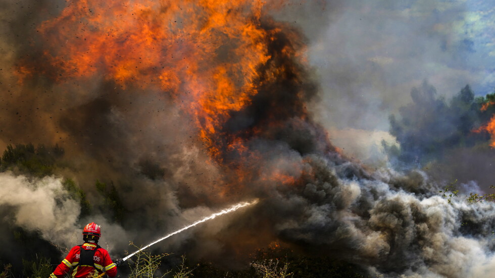 Европа в пламъци: Какви щети причиниха свирепите горски пожари (ВИДЕО)