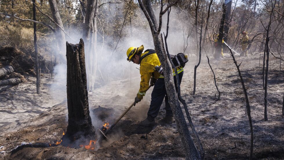  Сезонът на пожарите: Най-честата причина за тях е човешка немарливост 