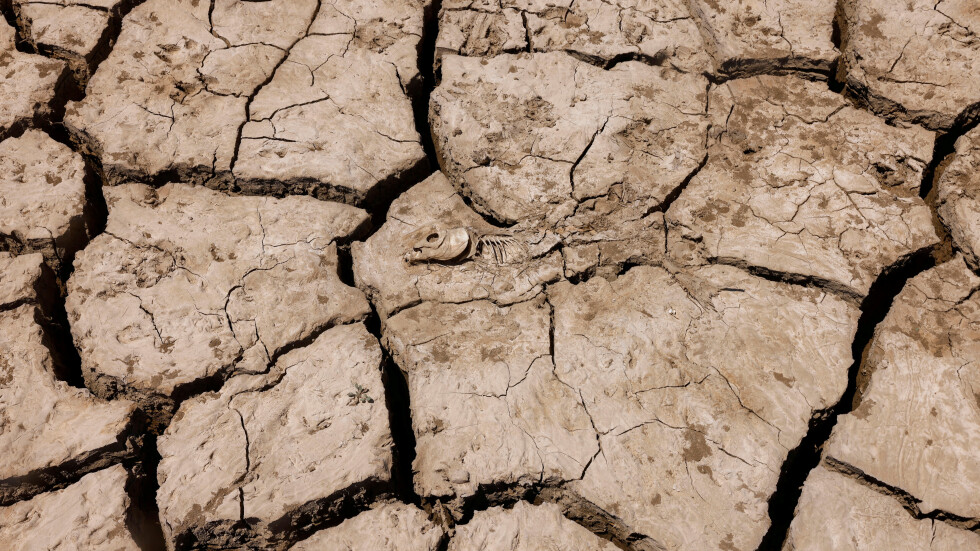  Очаква ли ни рисково лято: Проучване на Европейска комисия сигнализира за суша в Средиземноморския район 