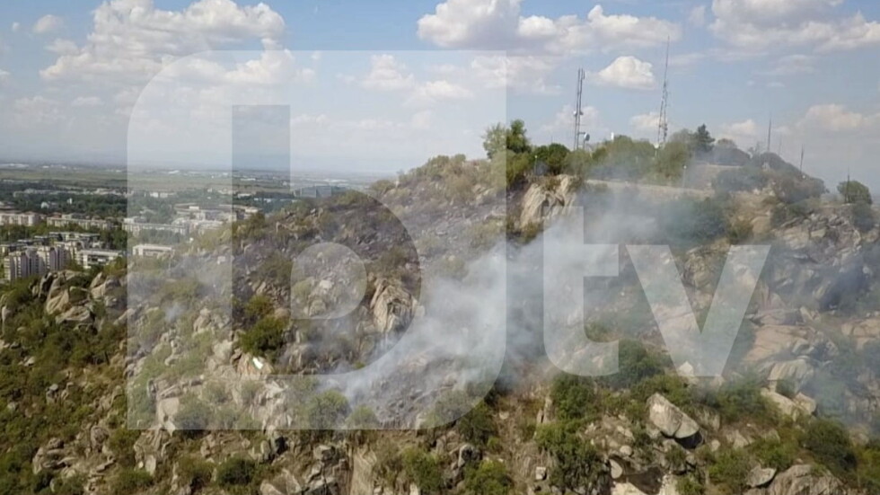 Гори пожар на Младежкия хълм в Пловдив (СНИМКИ и ВИДЕО)