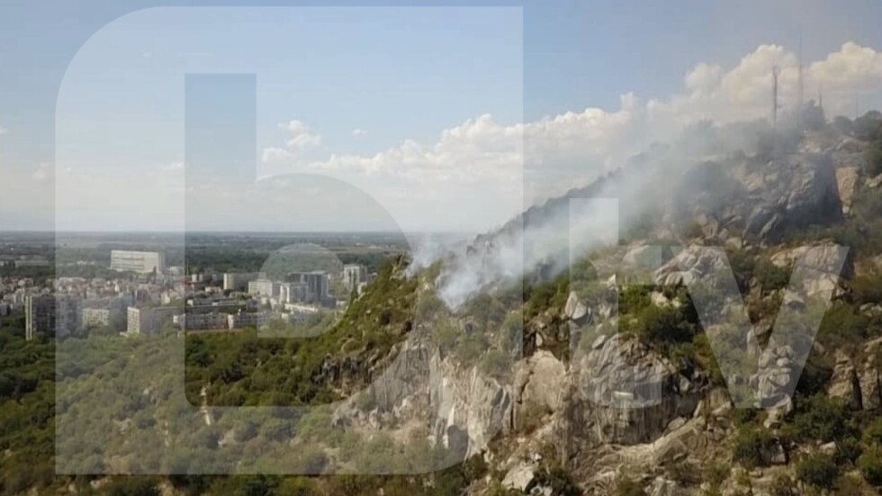След пожара на Младежкия хълм: Доброволческа инициатива се грижи за парка
