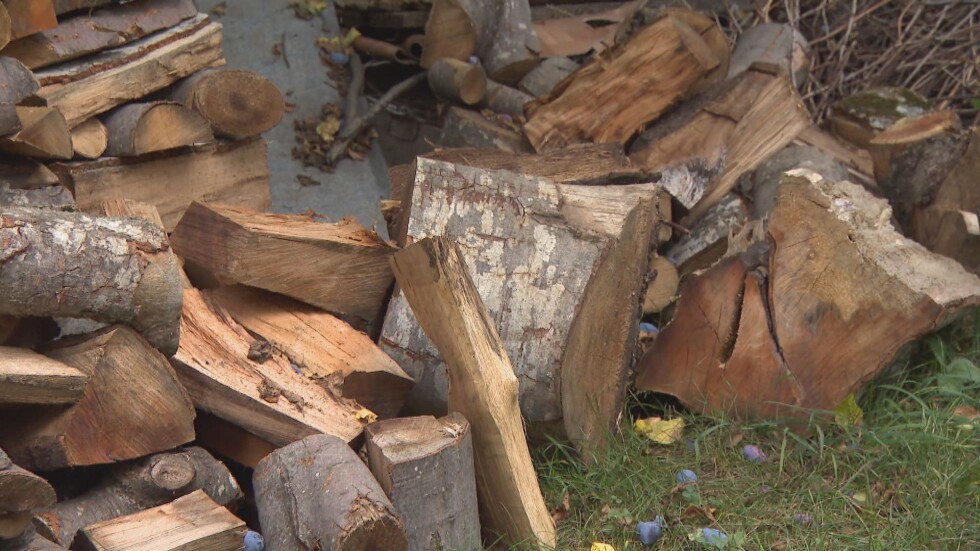Недостигът на дърва: Властите спират износа за трети страни