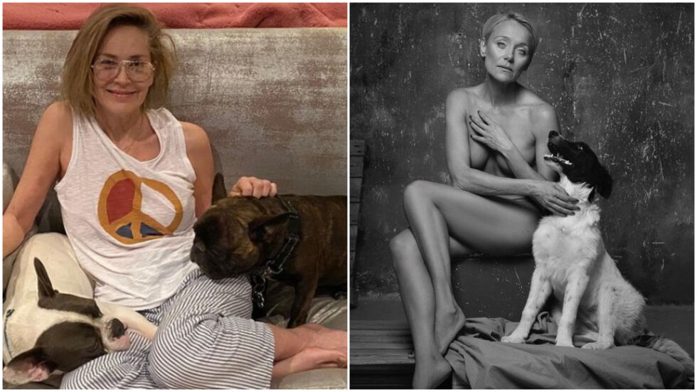 7 снимки, на които Койна Русева е по-красива от Шарън Стоун