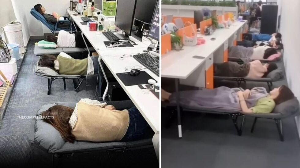 „Инемури“: Японската култура на спане на работното място (ВИДЕО) 