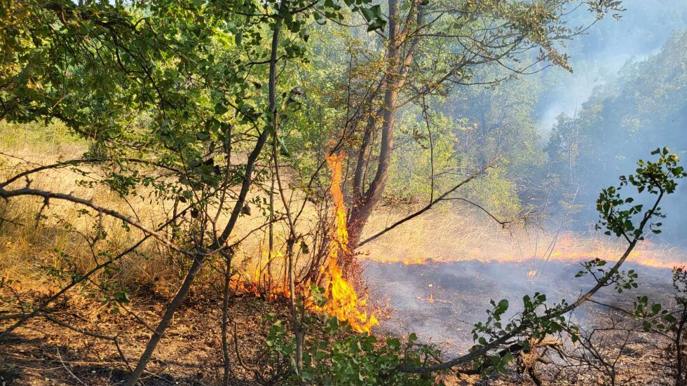 Пожар гори в землището на харманлийско село (СНИМКИ)