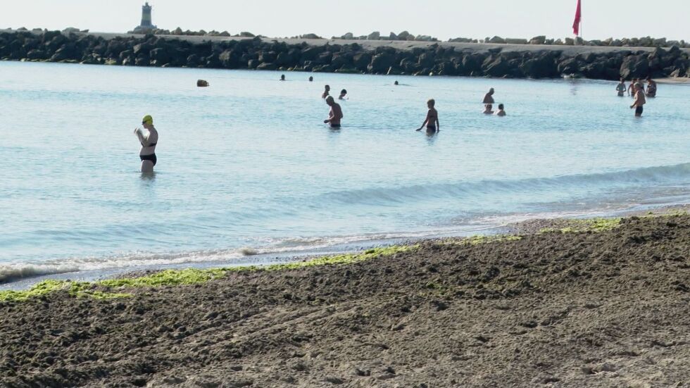 Замърсяване в морето: От 11 изследвани плажа - 7 са мръсни