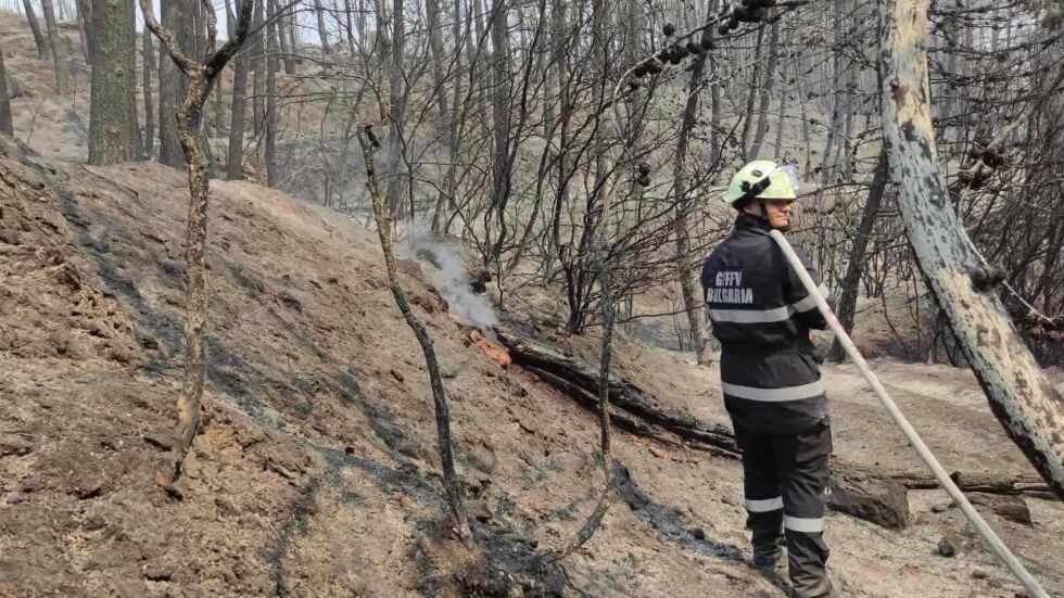 Пожарите в Гърция: Борбата продължава, помагат български пожарникари