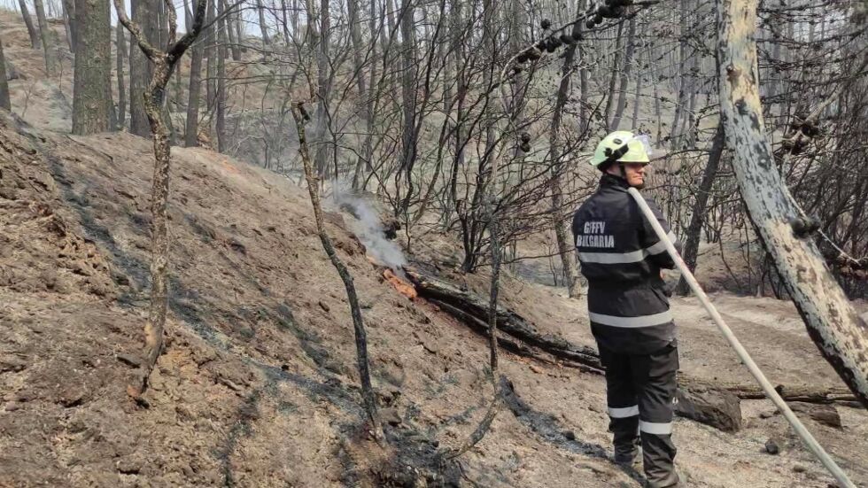  Пожарите в Гърция: Борбата продължава, оказват помощ български пожарникари 