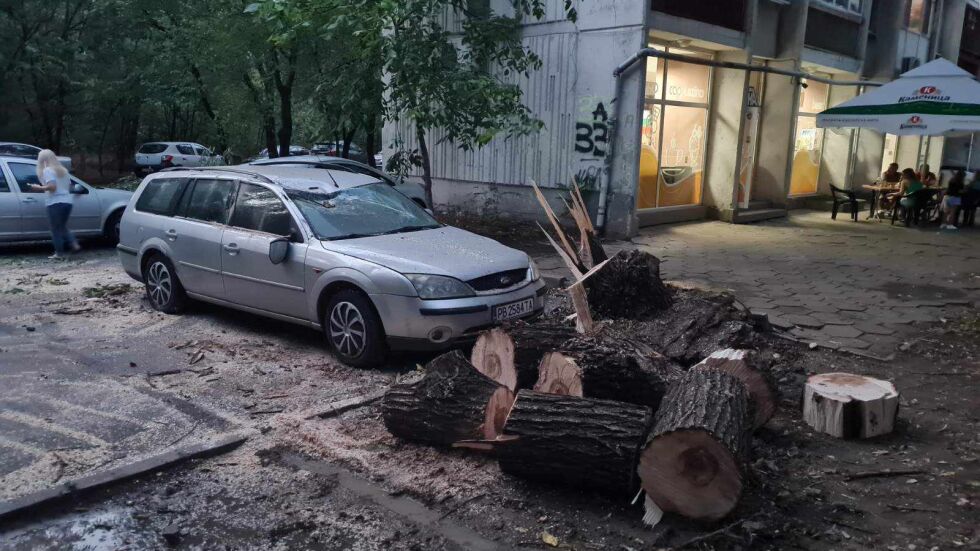След буря в Пловдив: Два автомобила пострадаха от паднало дърво (СНИМКИ)
