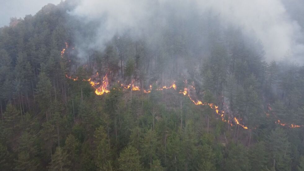 Пожарът над Хвойна е локализиран: Все още има няколко огнища