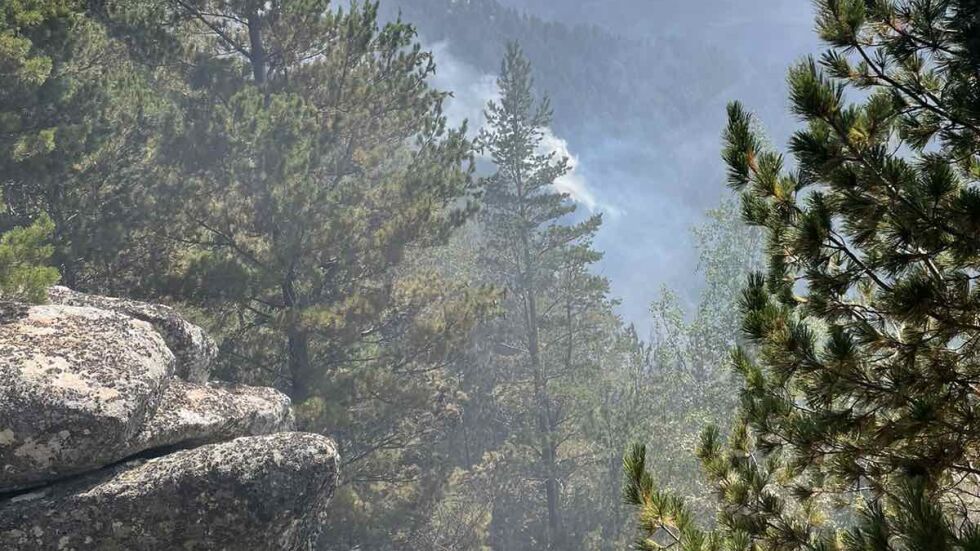  Пожарът в Рила: Ситуацията е сериозна, възобнови се второ огнище 