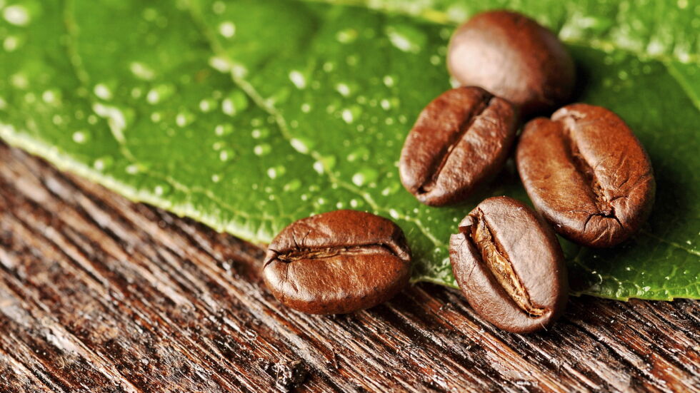 10 факта за кофеина, които ще ви изненадат