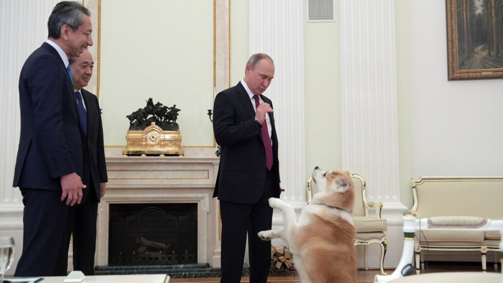  Владимир Путин стресна японски журналисти с... японско куче