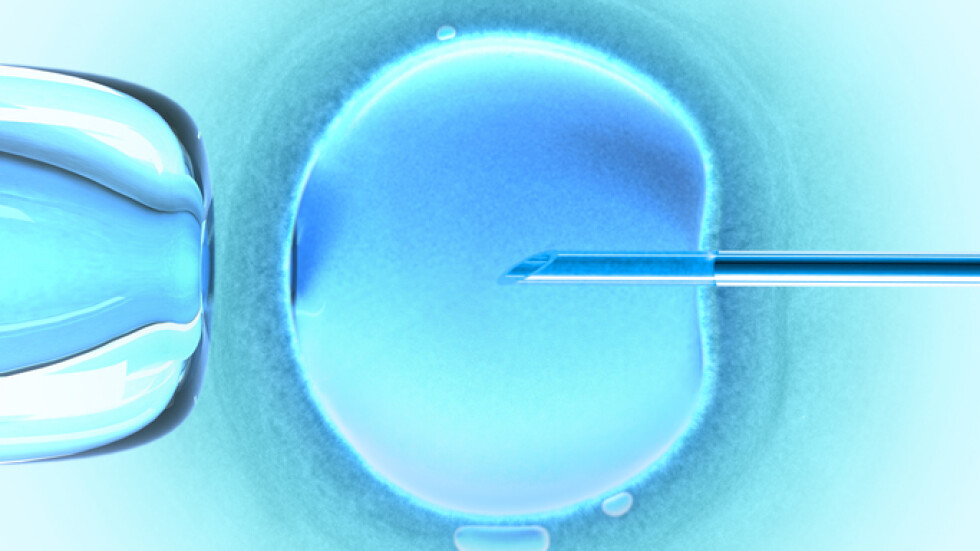 26 жени вероятно са оплодени с чужда сперма при ин витро процедури в Холандия