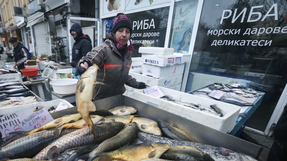Треска за Никулден: Пътят на рибата от морето до пазара