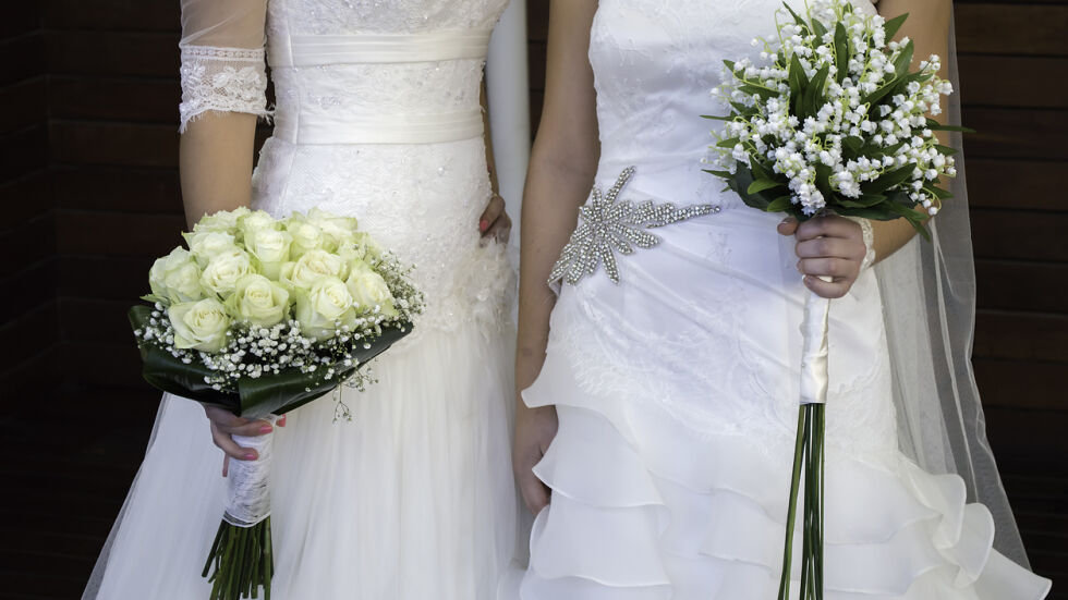 Австрия разреши хомосексуалните бракове
