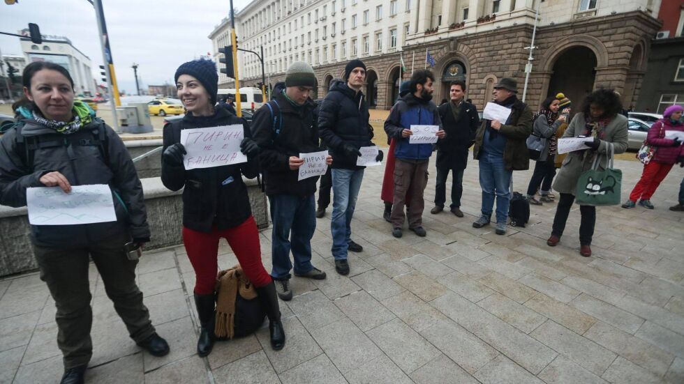 Природозащитници протестираха заради планирано увеличение на концесията в Пирин