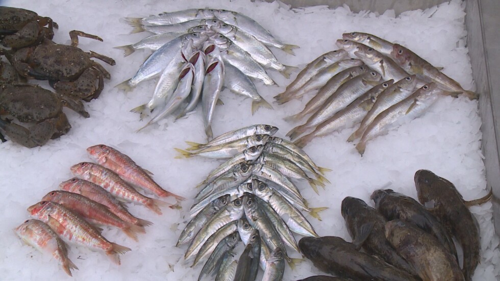 Колко ще ни излезе никулденската трапеза и кои са лесните рибни рецепти?