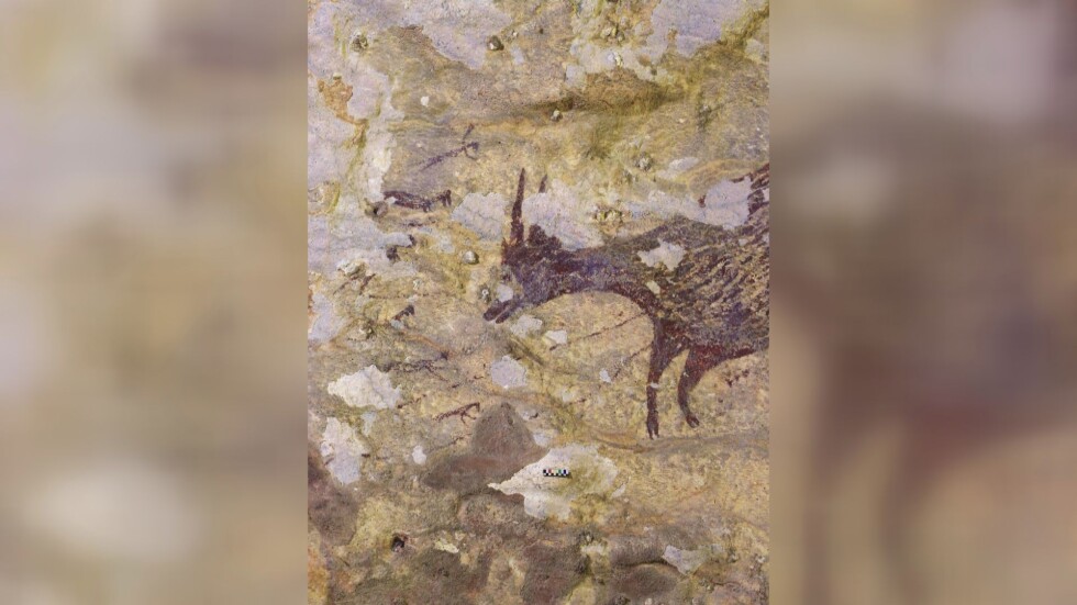 Намериха скална рисунка на 44 хил. години в Индонезия