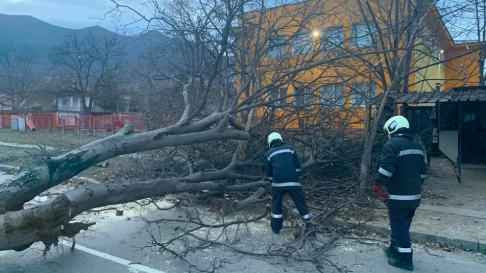 Бурен вятър във Враца нанесе щети на сгради и по улици 