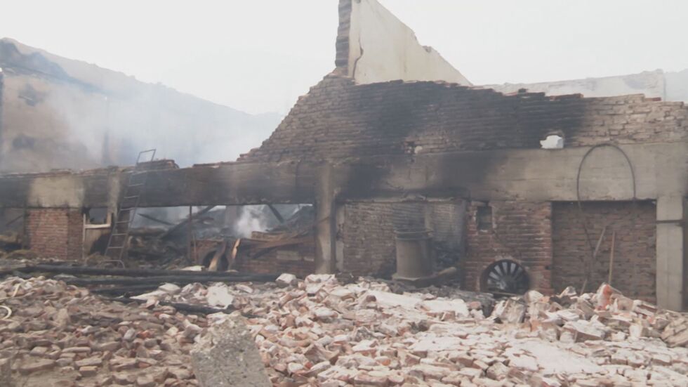 Зов за помощ: 400 овце в Исперихово останаха без храна за зимата заради пожар на Коледа