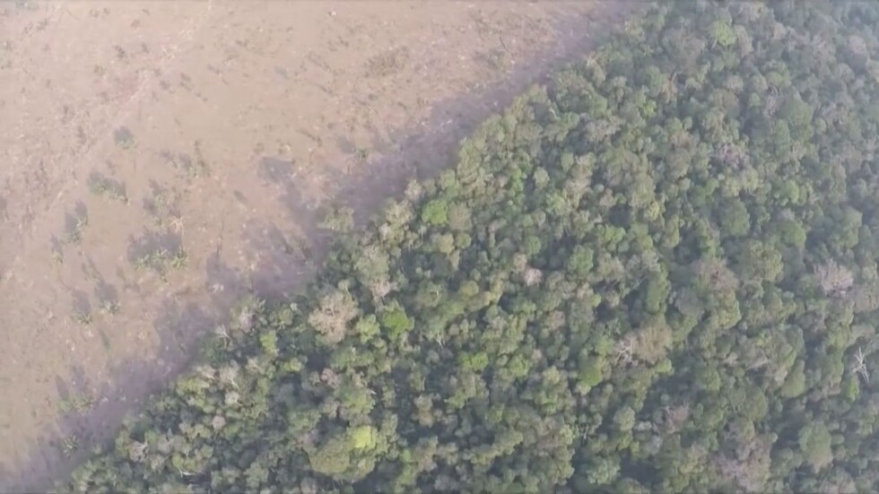 Обезлесяването на Амазонските гори е рекордно за последните 12 г.
