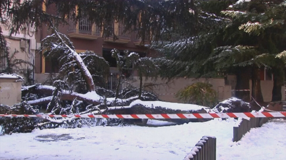 Снежни бури удариха Испания и Италия